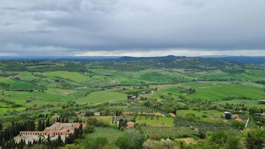מונטפולצ'אנו